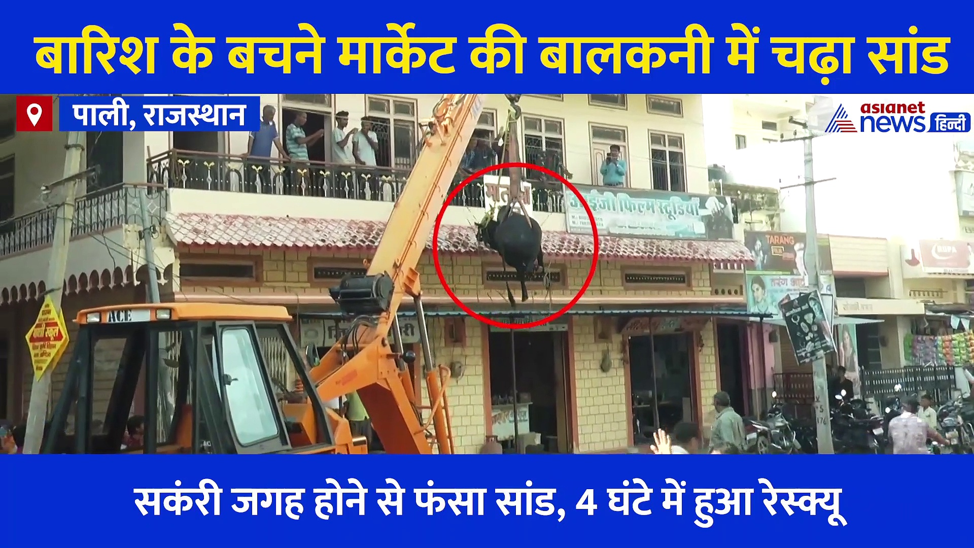 Video: बालकॉनी में पहुंच गया 200 किलो का सांड, रेस्क्यू करने में टीम की हो गई हालत खराब