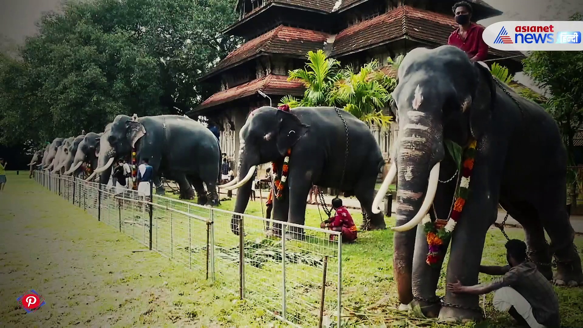 बेहद स्पेशल है केरल में होने वाली हाथियों की ये पूजा, रामायण माह के दौरान दिखा सबसे खास नजारा
