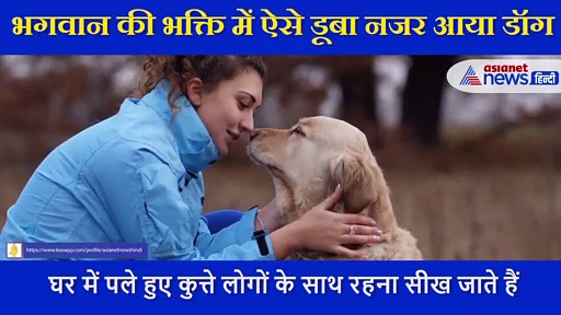 भगवान की भक्ति में ऐसे डूबा नजर आया डॉग, मंदिर के सामने झुकाया सिर