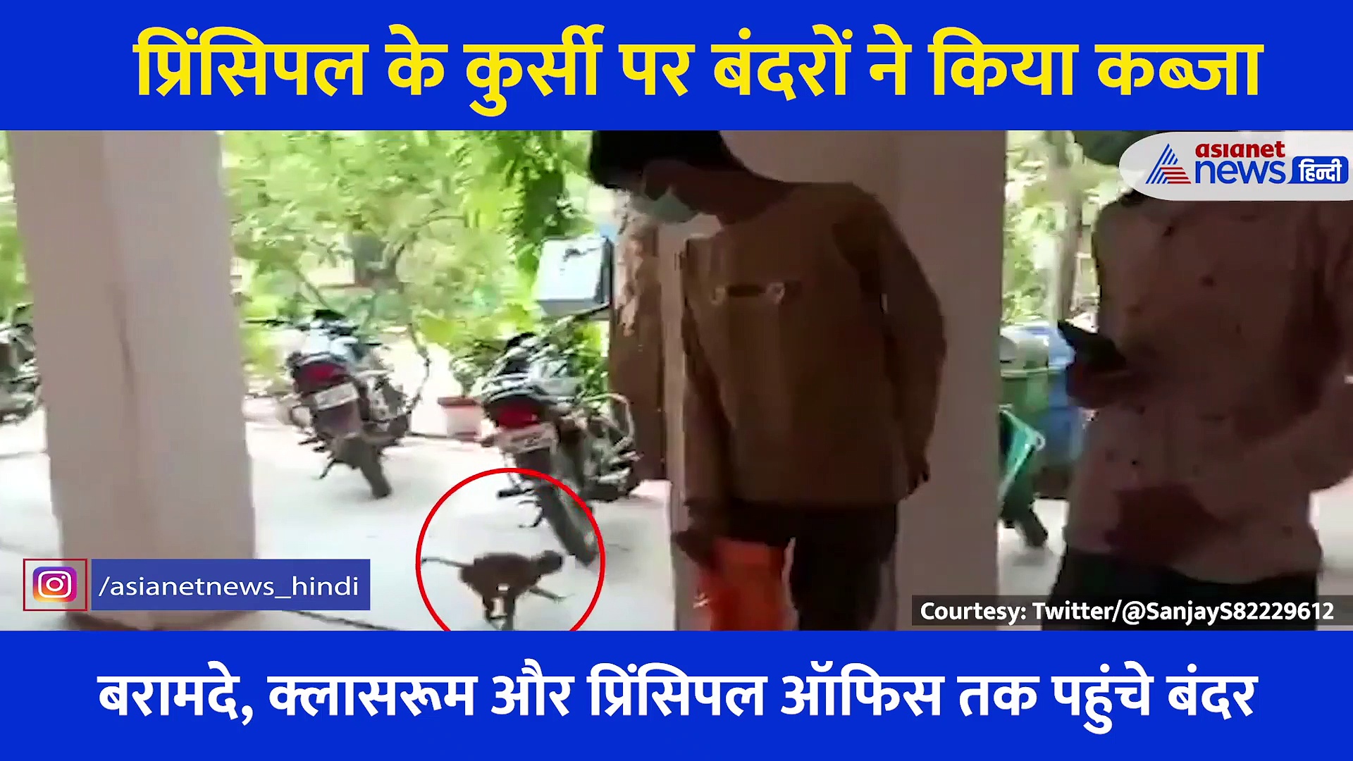 यहां स्कूल खुले तो प्रिंसिपल की कुर्सी पर जाकर बैठ गया बंदर, हटाने के लिए करनी पड़ी मशक्कत