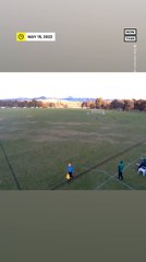 Mob of Kangaroos Interrupt Soccer Match