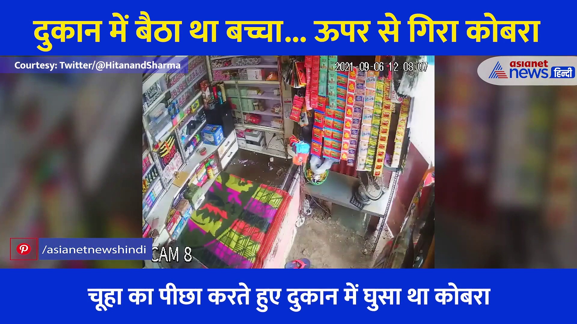 खतरनाक Video: दुकान में बैठे बच्चे के ऊपर गिरा किंग कोबरा, कैमरे में कैद हुआ रोंगटे खड़ा करने वाला सीन