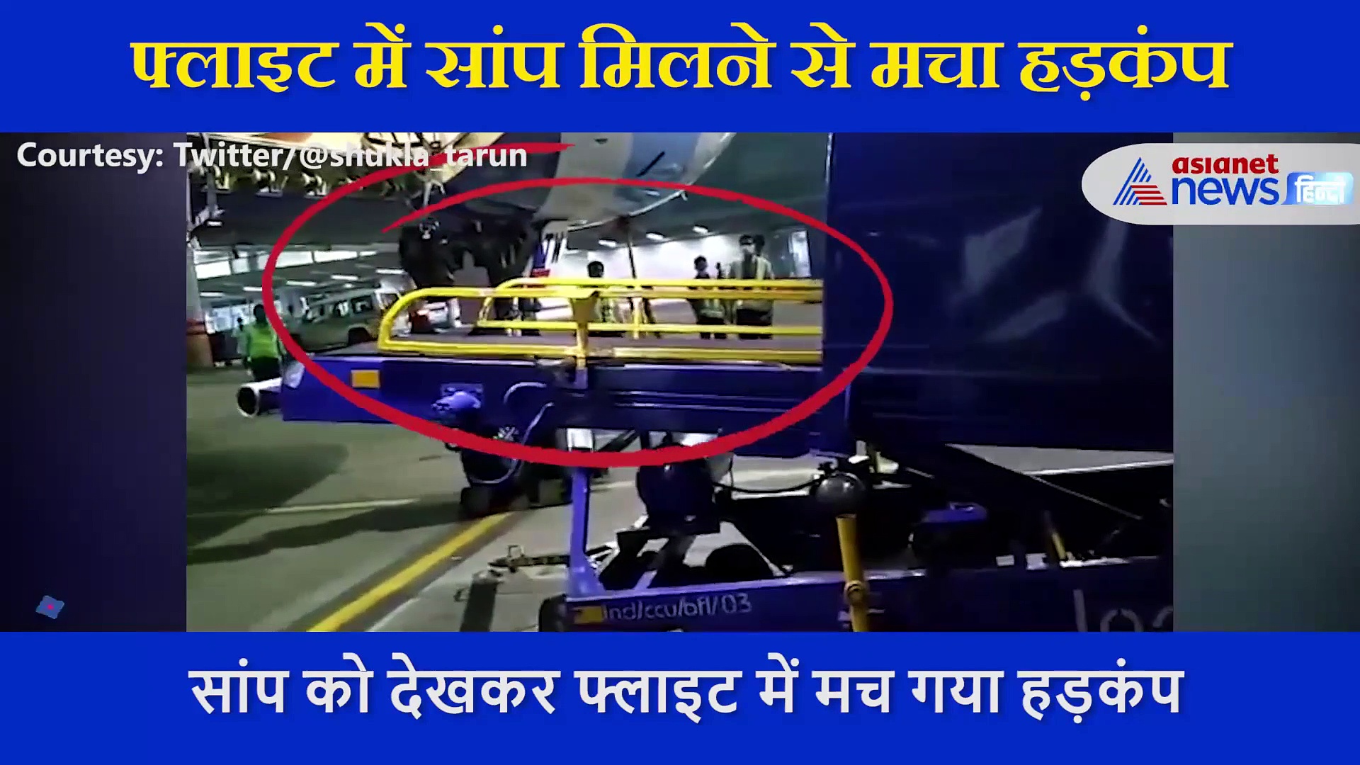 Video: फ्लाइट के अंदर लोगों को दिखी खतरनाक चीज, चीखकर बाहर आ गए यात्री