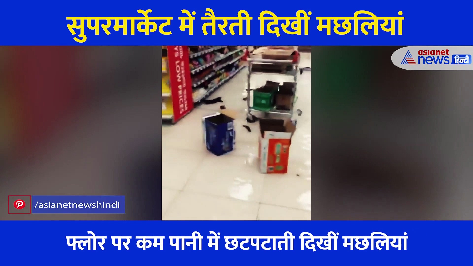 शॉपिंग मॉल में हुई सैकड़ों मछलियों की 'बारिश', जमीन पर गिरते ही यूं छटपटाती आईं नजर... देखें Shocking Video