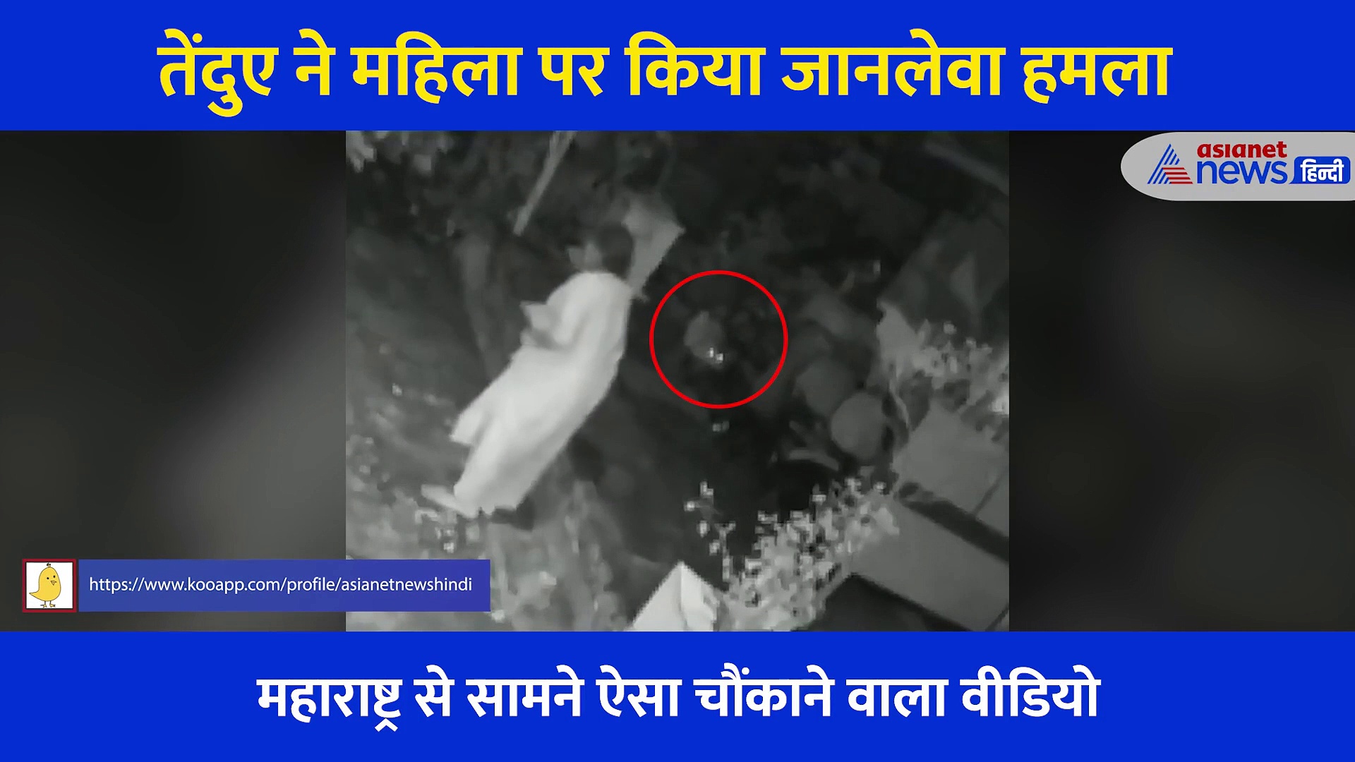 Shocking: चबूतरे पर बैठी महिला पर तेंदुए ने किया जानलेवा हमला... लेकिन महिला भी निकली 'शेरनी', देखें Video