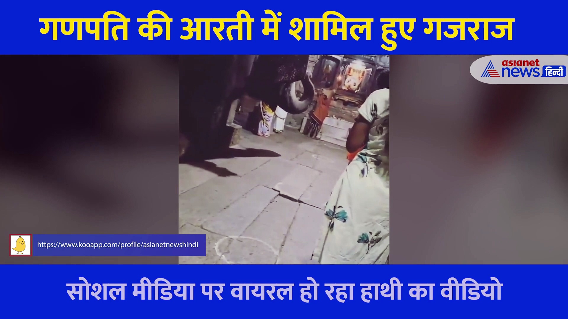 गणपति की आरती में शामिल हुए सूंड़ हिलाते हुए पहुंचे गजराज... जमीन पर बैठकर की पूजा, देखें Video