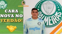LANCE! Rápido: Palmeiras anuncia reforço, Hulk absolvido e Paulinho passa por cirurgia