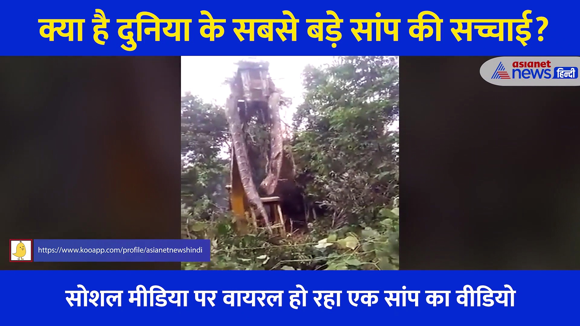 क्या है दुनिया के सबसे बड़े सांप की सच्चाई? इस  Viral Video ने सबको चौंकाया