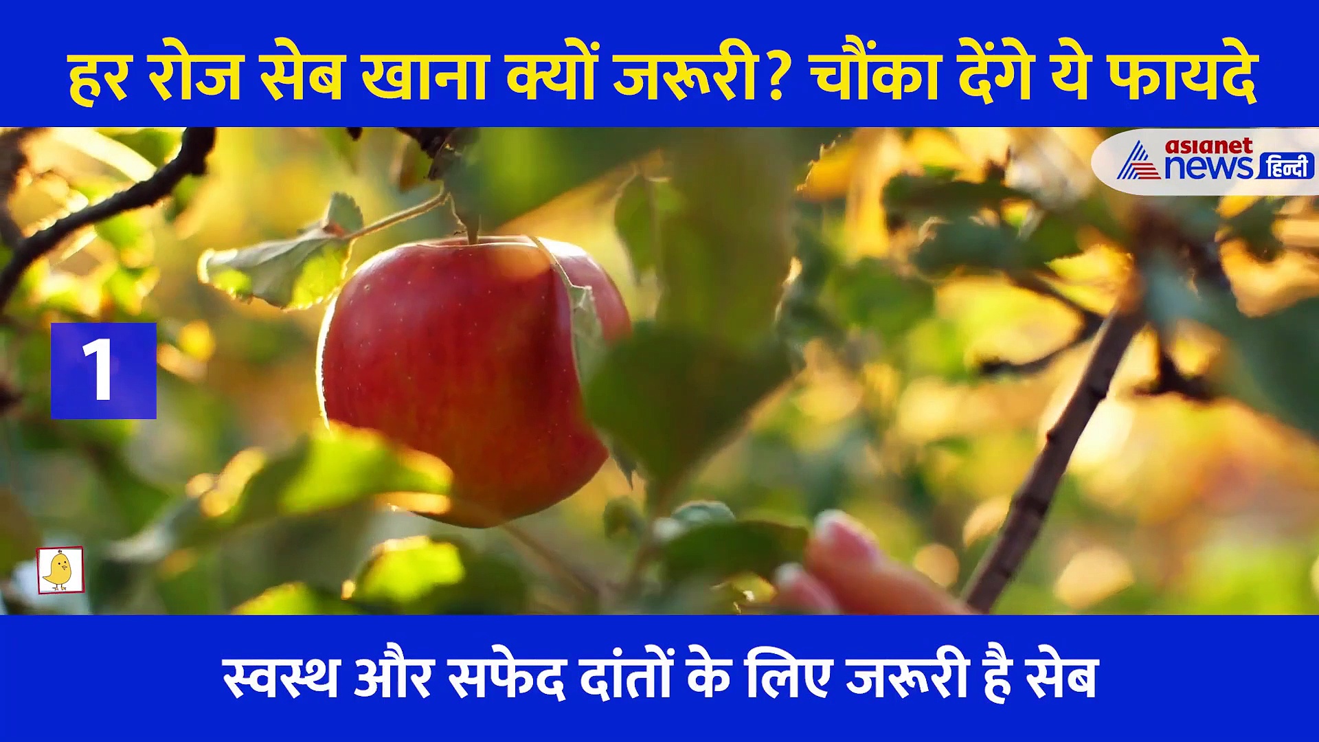 हर रोज सेब खाना क्यों जरूरी? चौंका देंगे ये फायदे