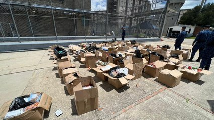 Mariscos y carnes exóticas: el extravagante mercado incautado por el Inpec en La Picota