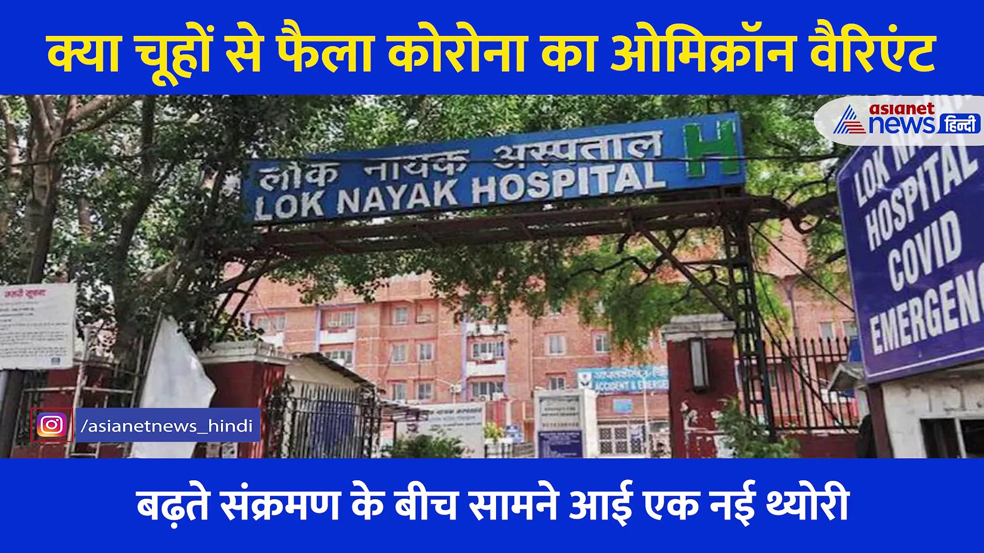 क्या चूहों से फैला रहा ओमिक्रॉन वैरिएंट? कोरोना को लेकर इस नई थ्योरी लोगों को फिर डराया