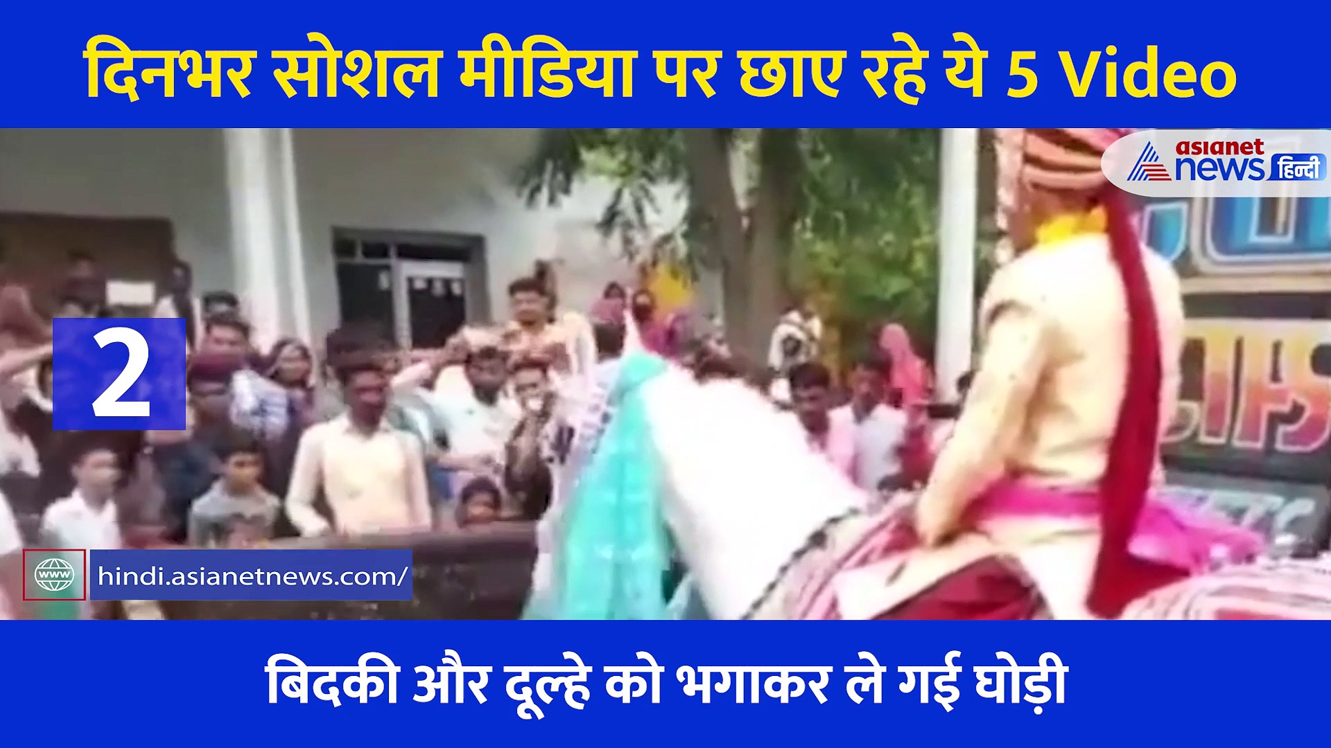 कहीं दूल्हे को भगा ले गई घोड़ी तो कहीं शादी में दूल्हा दुल्हन के साथ हुआ भयानक हादसा, देखें 5 Shocking Video