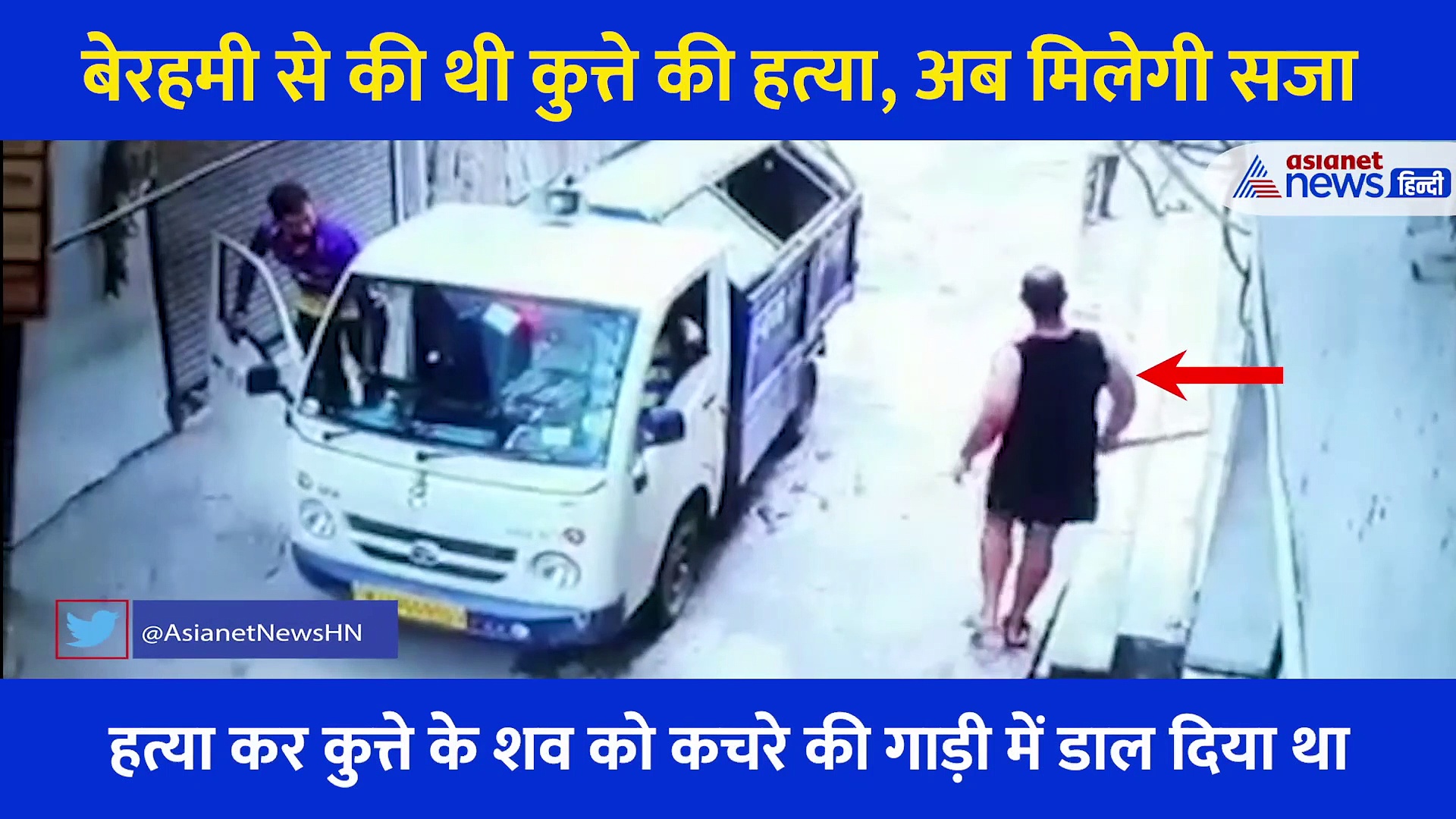 युवक ने बेरहमी से की थी कुत्ते की हत्या, अब बेजुबान को मिलेगा इंसाफ... हत्यारे को सजा