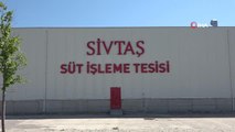 SİVTAŞ'ta üretime geçildi: Sivas Valiliği öncülüğünde kurulan süt işleme tesisi üretime geçti