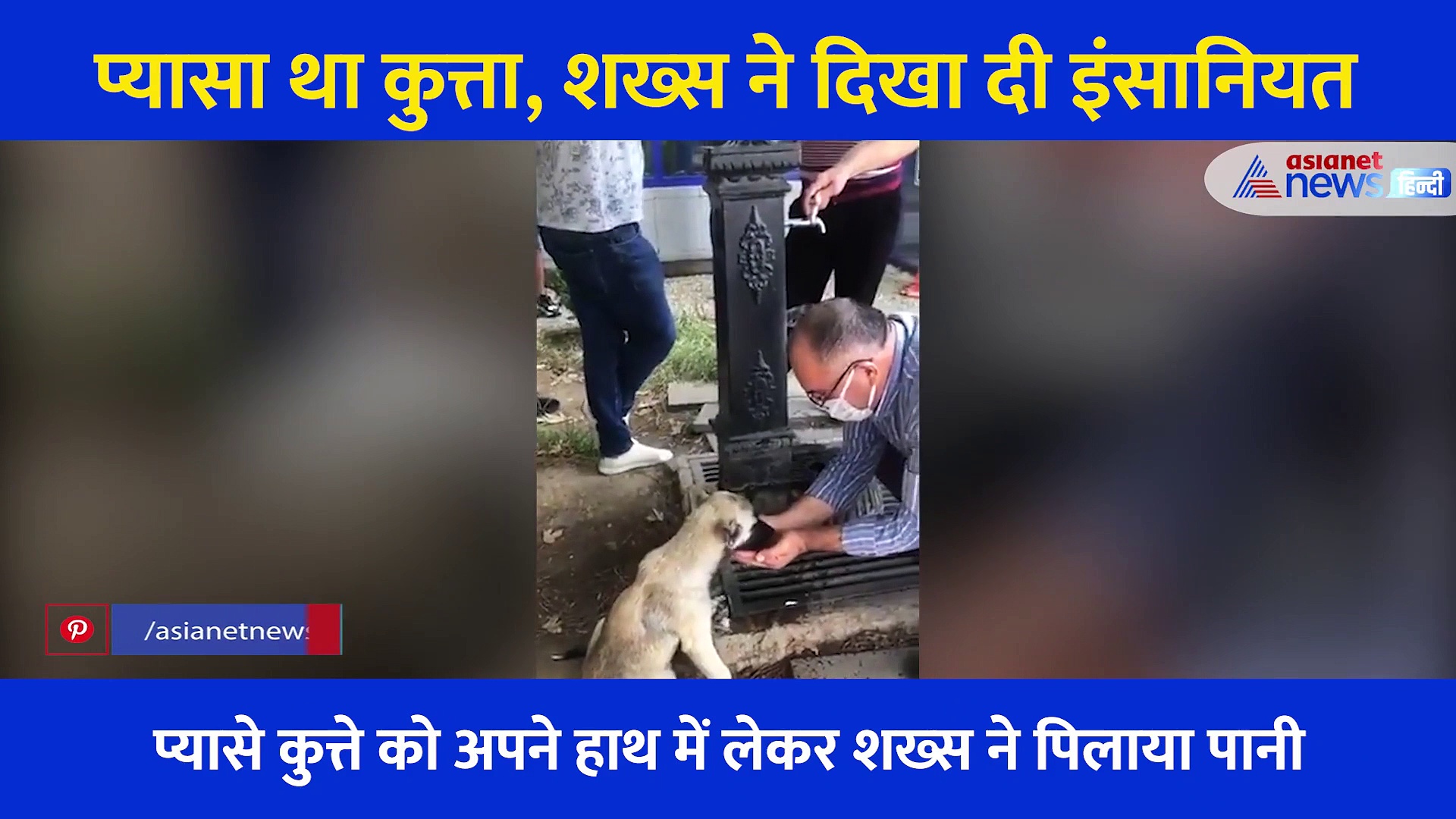 प्यासा था कुत्ता, शख्स ने दिखाई ऐसी दरियादिली, इंसानियत से भरा ये Video आपका दिल जीत लेगा