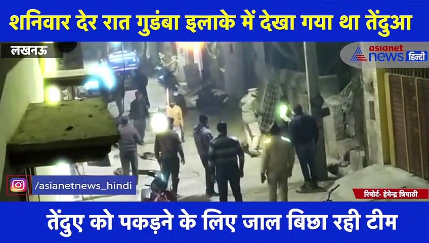 लखनऊ की सड़कों पर घूम रहा तेंदुआ, खौफ के साए में पूरा शहर, देखें वीडियो