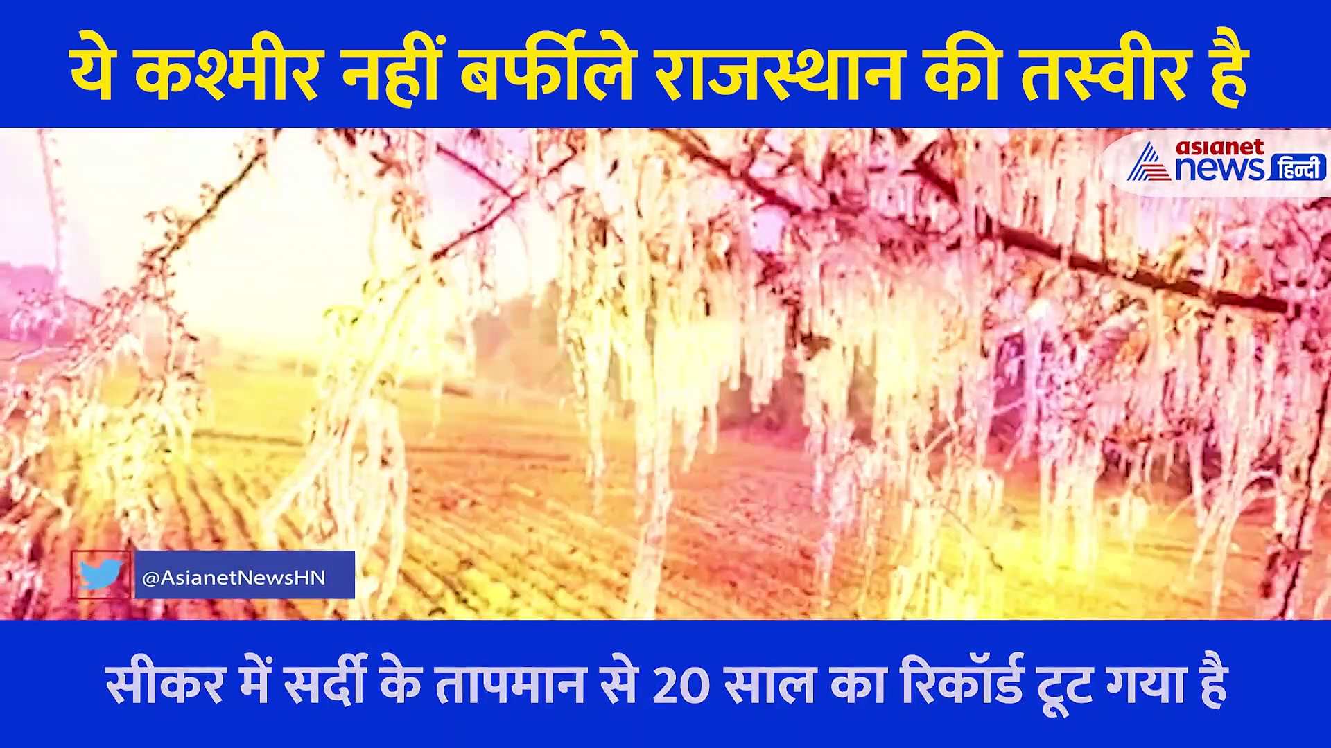 पेड़ से गिरी ओस की बूंद धरती पर आने से पहले जम गईं, देखें बर्फीले Rajasthan की शानदार Photo और Video