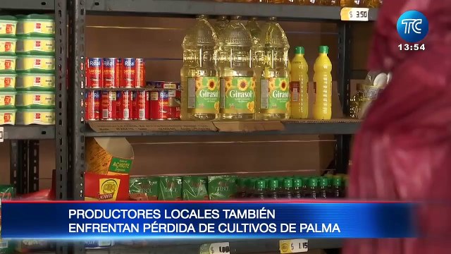 Ecuador: Productores locales enfrentan pérdida de cultivos de palma