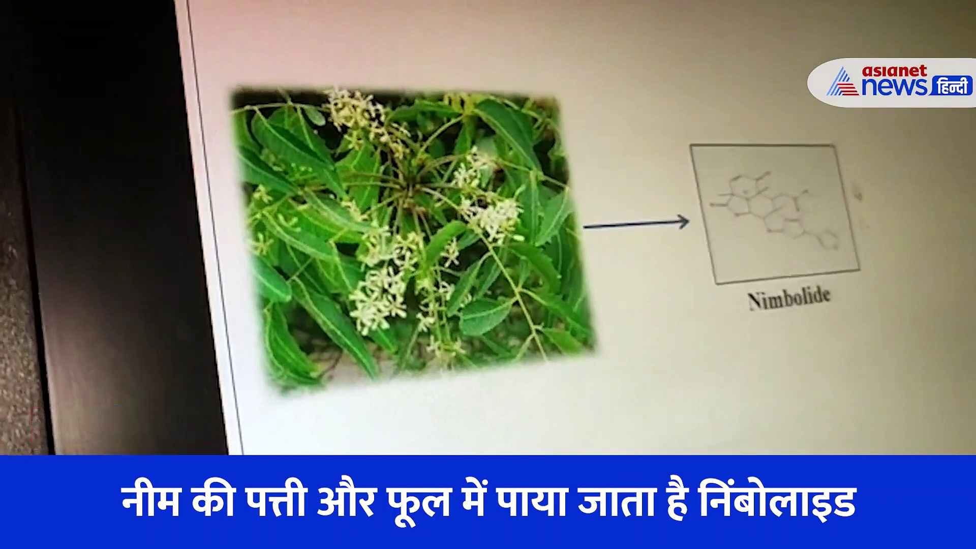 चूहों पर वैज्ञानिकों ने किया शोध, BHU को कैंसर का इलाज ढूंढने में मिली सफलता 