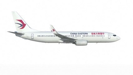 العربية360| مفاجأة حول أسباب سقوط طائرة بوينج الصينية مارس الماضي