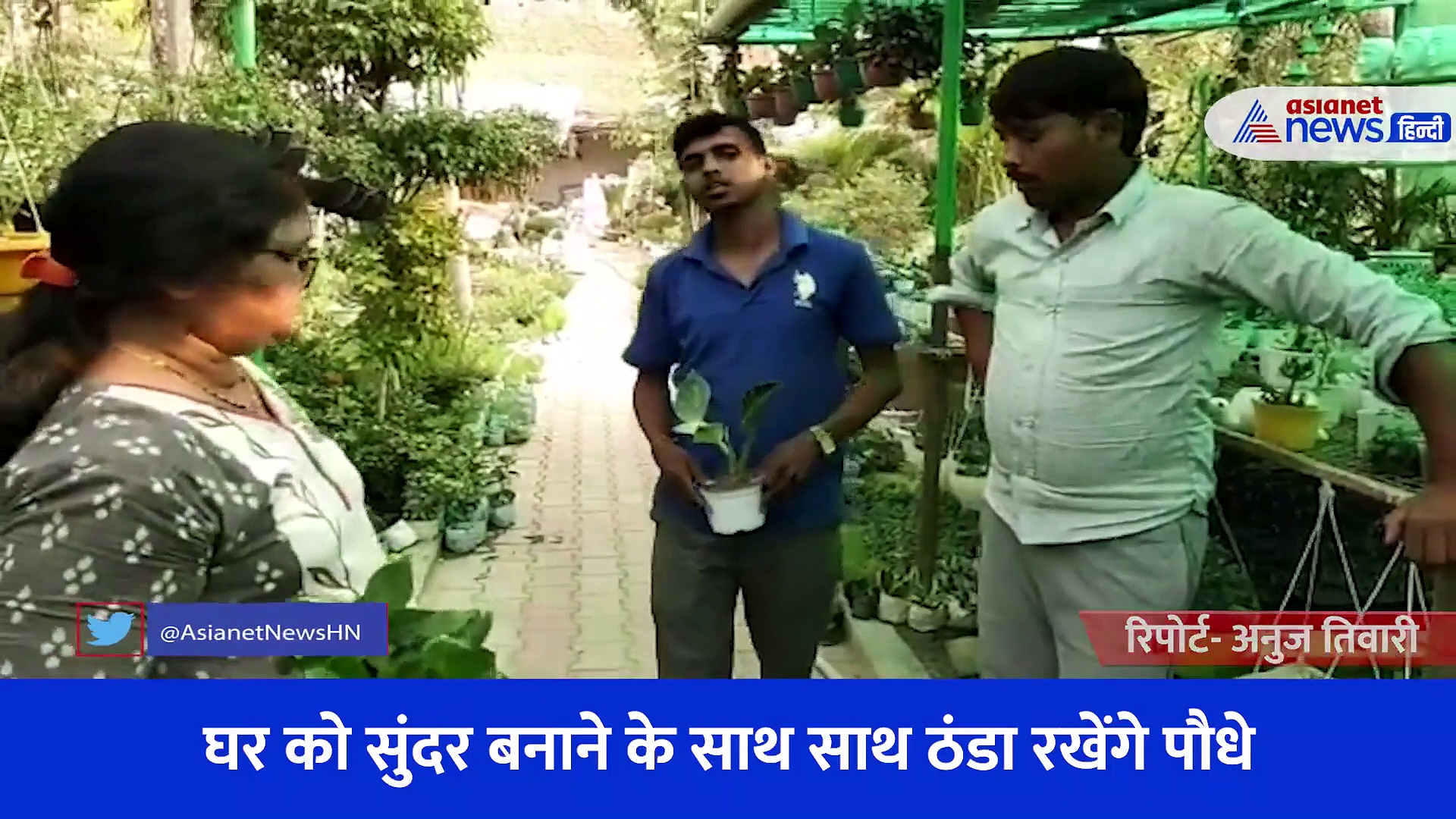 Video: गर्मी में राहत देंगे ये इंडोर पौधे, नहीं पड़ेगी एसी कूलर की जरूरत... लोगों में बढ़ी इन पौधों की डिमांड