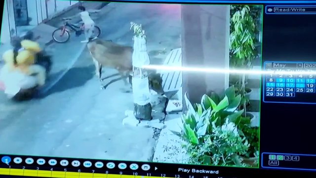 CRIME-महिला के गले से नकाबपोश तोड़ ले गए सोने की चेन