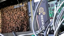 إسرائيل تعتمد ألية جديدة للحفاظ على النحل... تعرف عليها