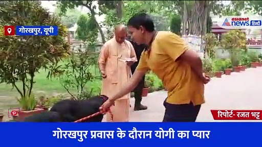 Video: कालू और गुल्लू पर CM Yogi ने लुटाया प्यार, हाथ खिलाया खाना...फिर सुनी लोगों की फरियाद 