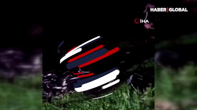 Van'ın Muradiye ilçesinde 1 ton 320 kilo kaçak olarak avlanmış inci kefali ele geçirildi