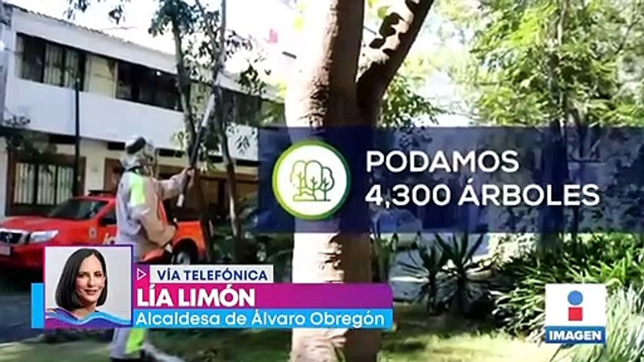 Lía Limón destaca disminución de la incidencia delictiva en la ÁO