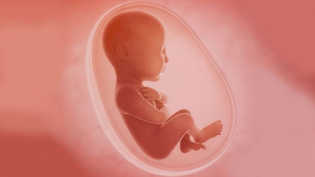 What If We Could Grow Babies in Artificial Wombs?