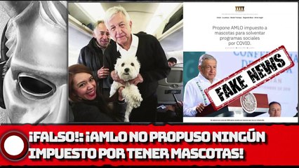 ¡FALSO! ¡AMLO NO PROPUSO NINGÚN IMPUESTO POR TENER MASCOTAS!
