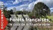 Forêts françaises, en quête d'avenir