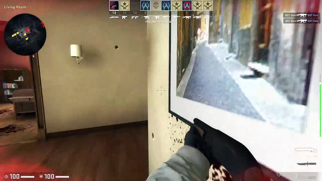 CSGO NAS
