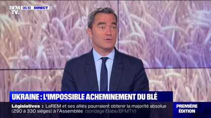 Guerre en Ukraine: l'impossible acheminement du blé