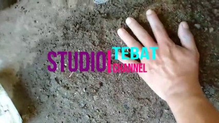 Kolam ikan Mini dari Ban Bekas