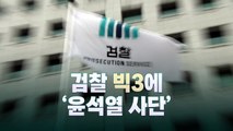 [뉴스라이브] 칼 빼든 한동훈, 檢 인사...검찰 빅3에 '윤석열 사단' / YTN
