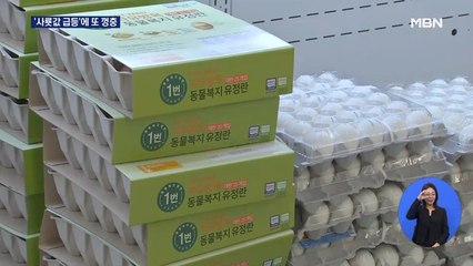 사료값 급등 치솟는 달걀 값…일반 계란 한판 7천 원