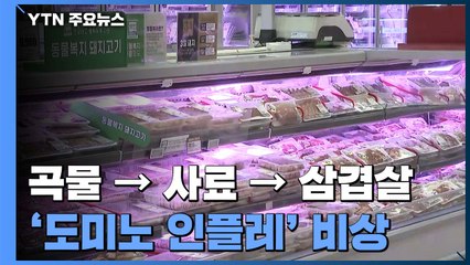 '금겹살'이 된 삼겹살...'도미노 물가 인상'에 서민 주름살 / YTN