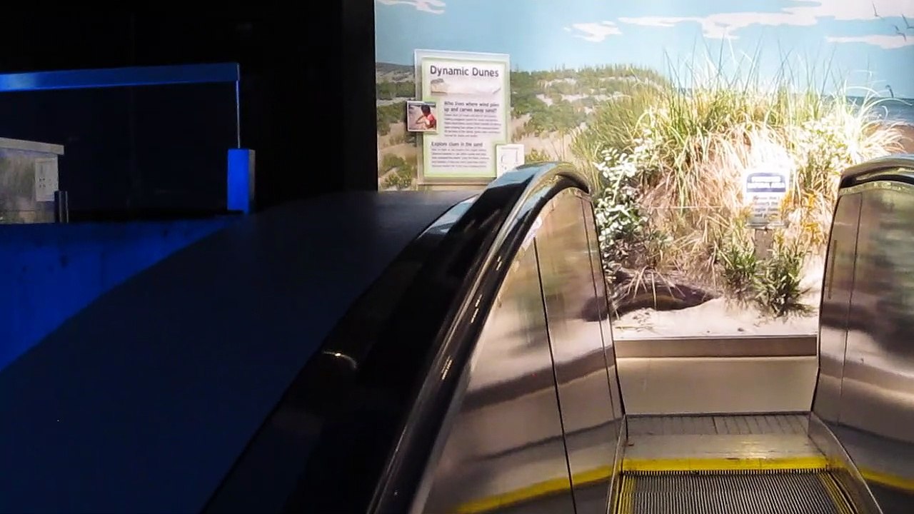 Escalator ride up inside National Aquarium of Baltimore video Dailymotion
