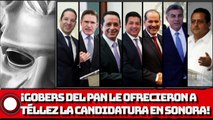 SALIO EL PEINE ¡Gobers del PAN le ofrecieron a Téllez la candidatura en Sonora!