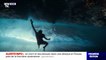 Les images sublimes du champion d'apnée Arnaud Jerald dans la vague mythique de Teahupoo au large de Tahiti