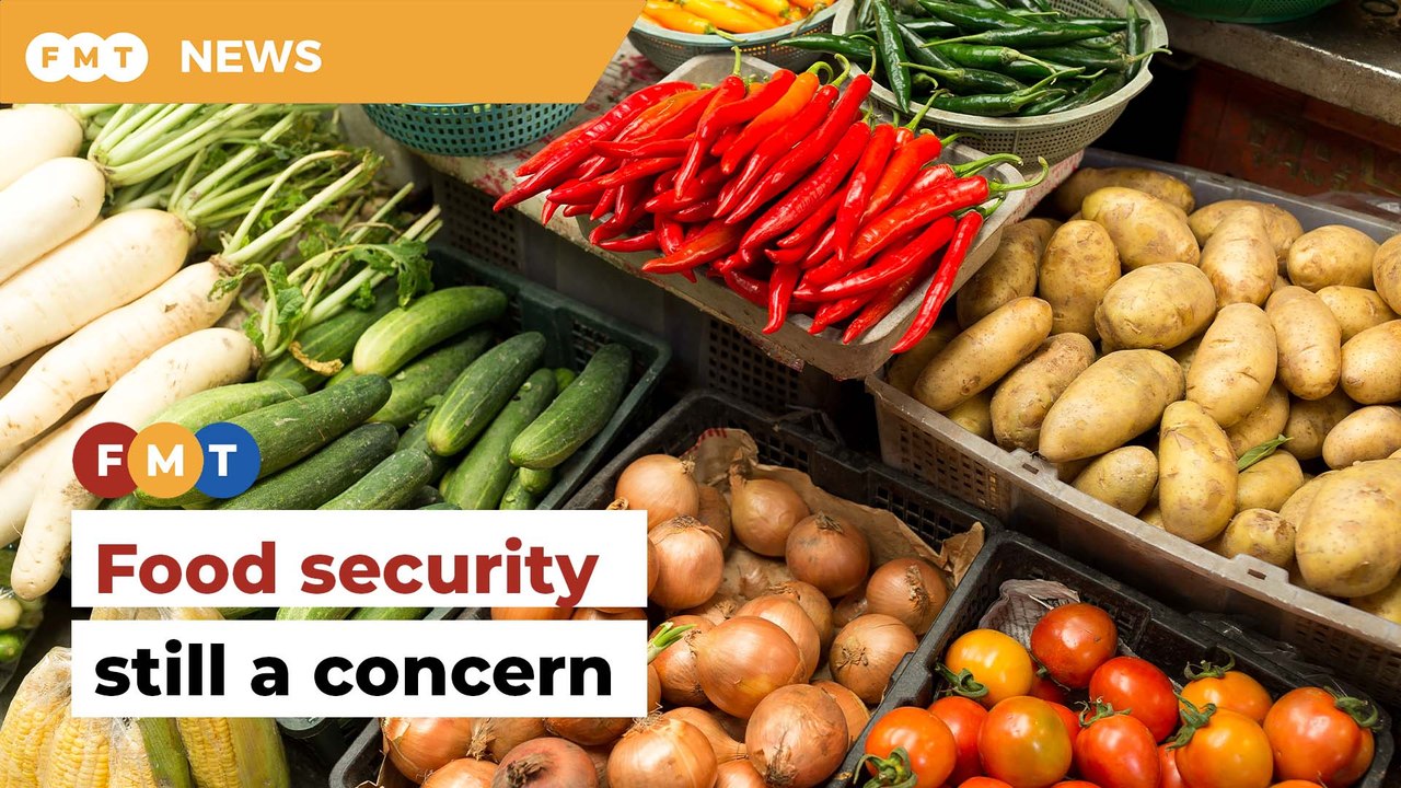 Doing away with APs won’t ensure food security, says economist