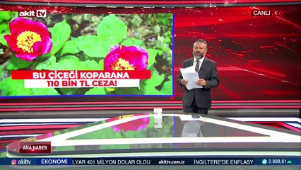 18 Mayıs 2022 Akit TV Ana Haber