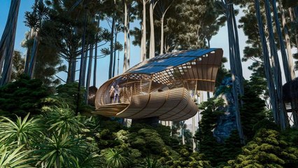 Seed Cabin, Mexico by Veliz Arquitecto (Concept Architecture)