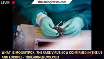 What is monkeypox, the rare virus now confirmed in the US and Europe? - 1breakingnews.com