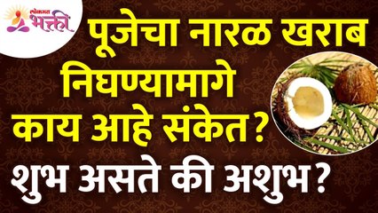 पूजेचा नारळ खराब निघाला तर कसला संकेत असतो? What is the sign if the pooja coconut goes bad?