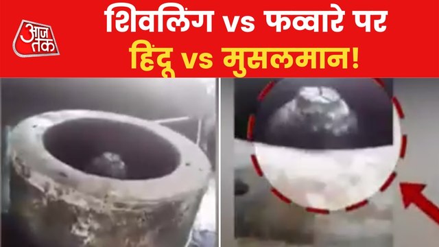 Gyanvapi Survey: God idols and 'Sheshnag' found in mosque