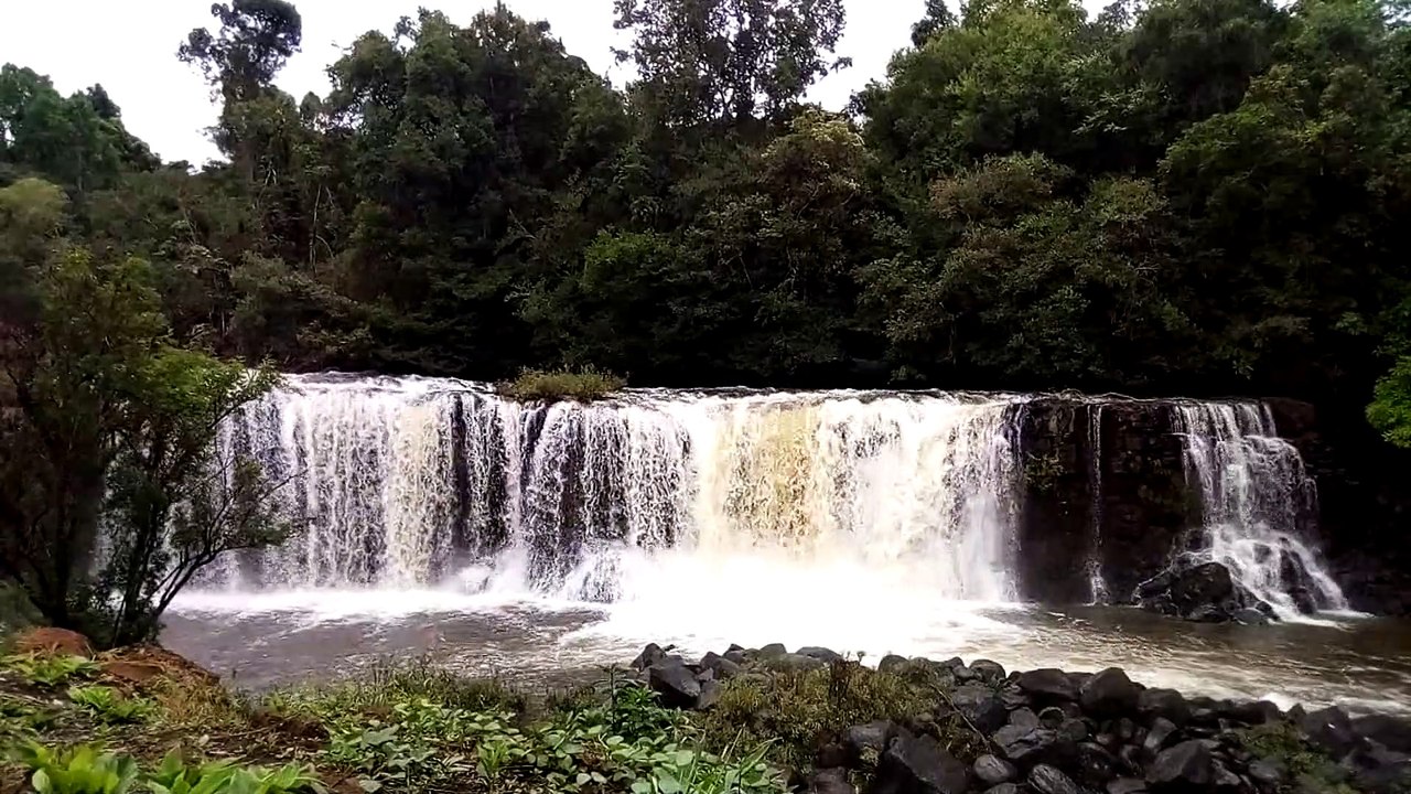 LA NATURE
