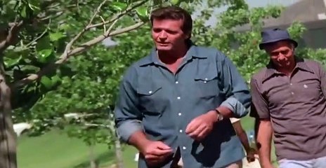 The Rockford Files S03 E04